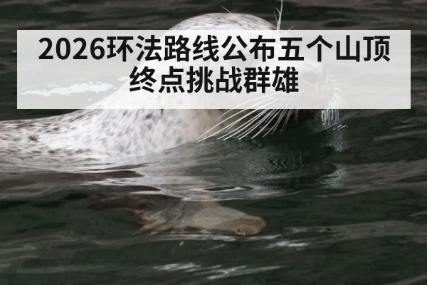 2026环法路线公布五个山顶终点挑战群雄